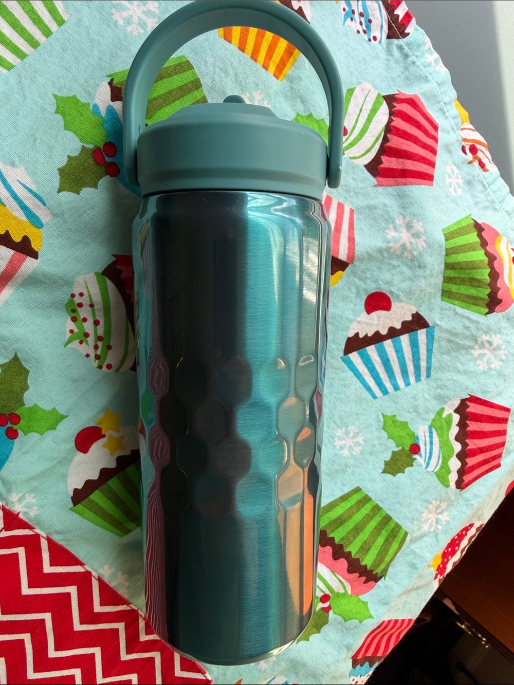 Primula 18 oz. Teal Blue Double wall Insulated Water Bottle w/Carry Handle